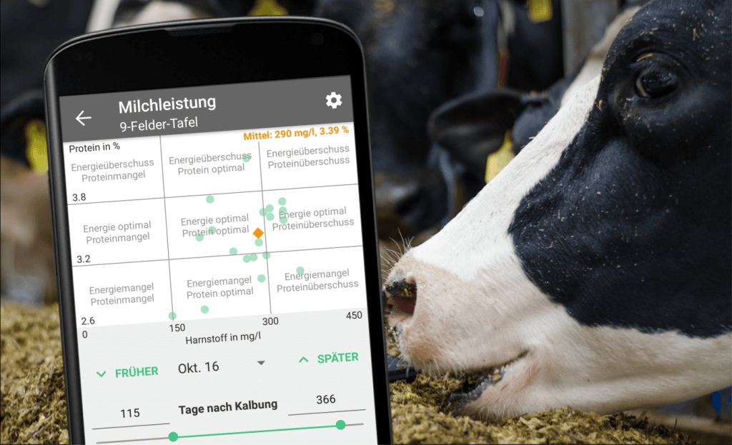 MLP 9-Felder-Diagramm: Richtig deuten und handeln