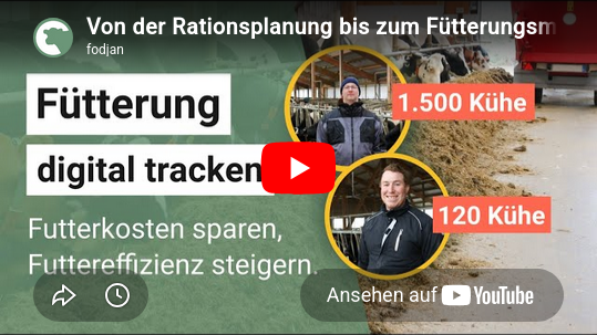 Preview Youtube Video